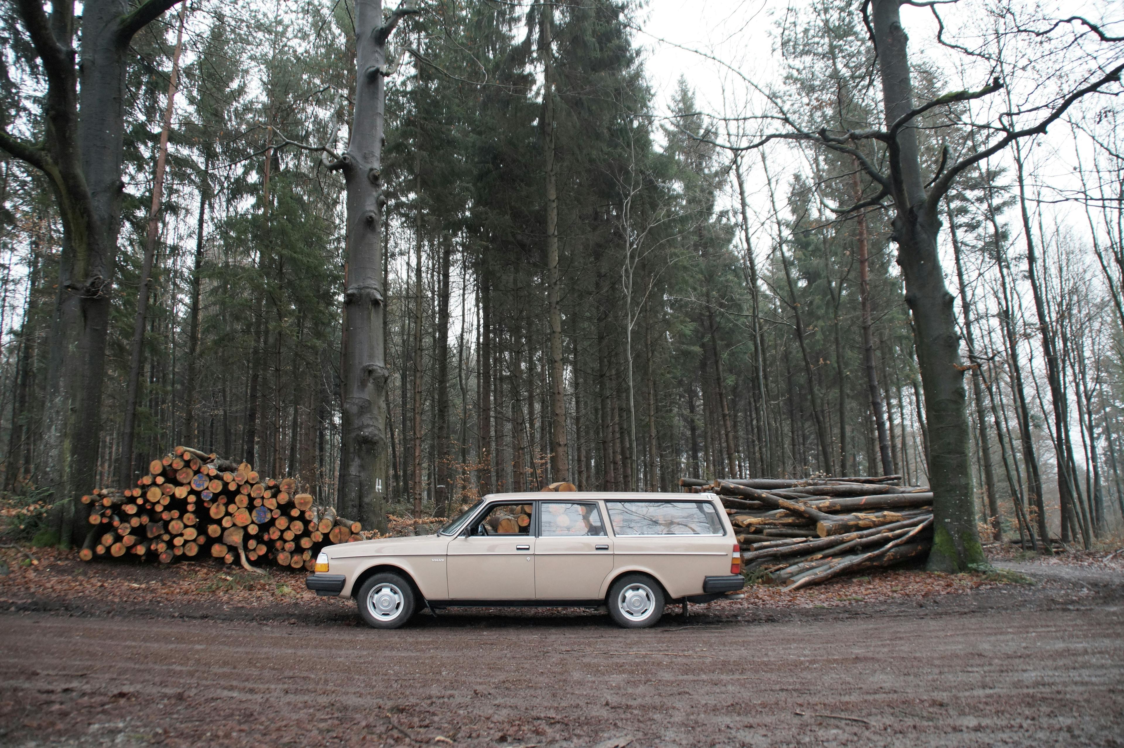 beige Volvo 245